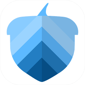 acorn financing